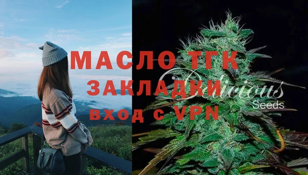 бошки Вязьма